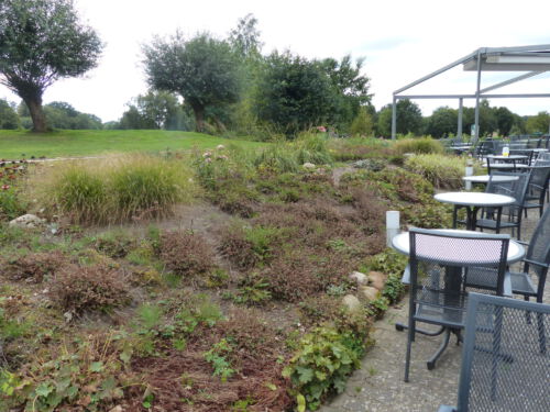 Golfplatz Grossensee vor der Neubepflanzung im Sommer 2018