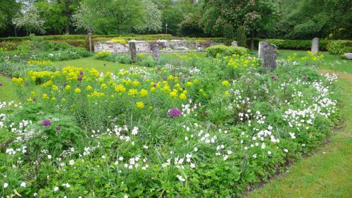 Wiesenhafte Pflanzung auf dem Ohlsdorfer Friedhof im Mai