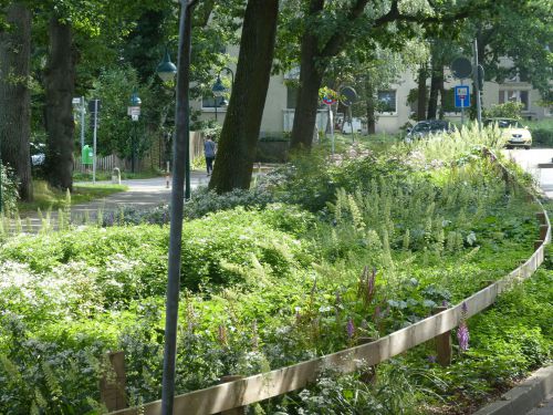 Schattenstauden in einer Pflanzung in Norderstedt