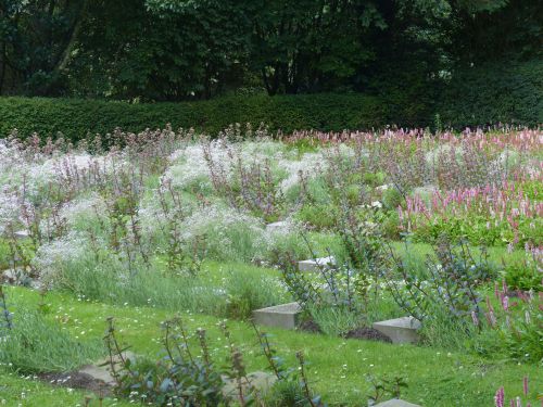 Staudenpflanzung auf dem Ohlsdorfer Friedhof in Hamburg