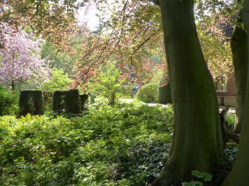 Licht und Schatten unter einer Buche in einem Hamburger Privatgarten