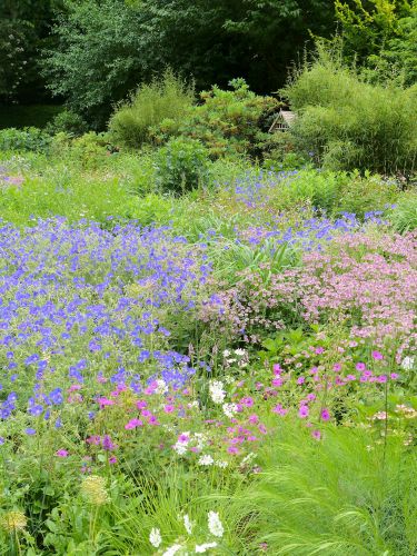 Wiesenartige Pflanzung in einem Hamburger Privatgarten