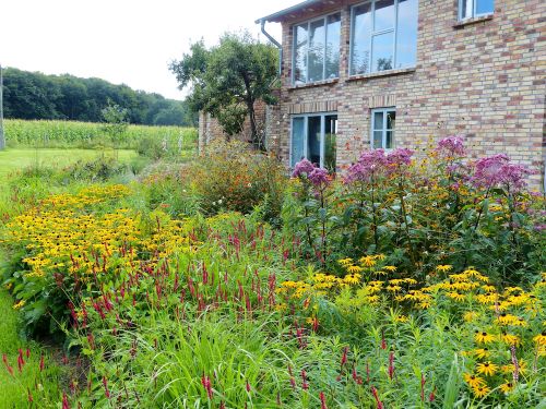 Privatgarten in Mecklenburg-Vorpommern