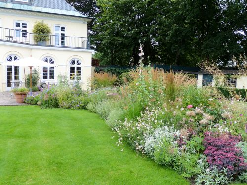 Sonnige Staudenpflanzung in einem Hamburger Privatgarten