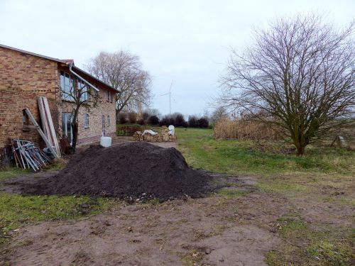 Entwicklung einer Staudenpflanzung in Mecklenburg-Vorpommern Februar 2017