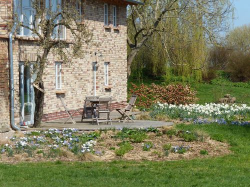 Entwicklung einer Staudenpflanzung in Mecklenburg-Vorpommern Frühling 2018